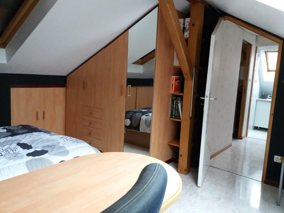Apartamento Logis 18 Rose Estrasburgo Exterior foto